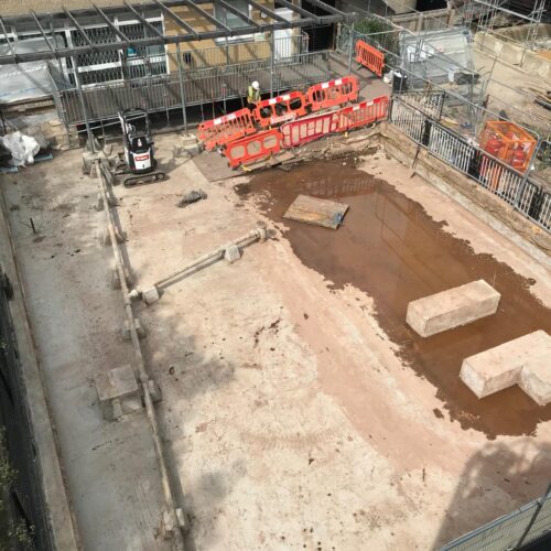 WhatsApp Image 2026-01-21 at 16.07.31 (5)