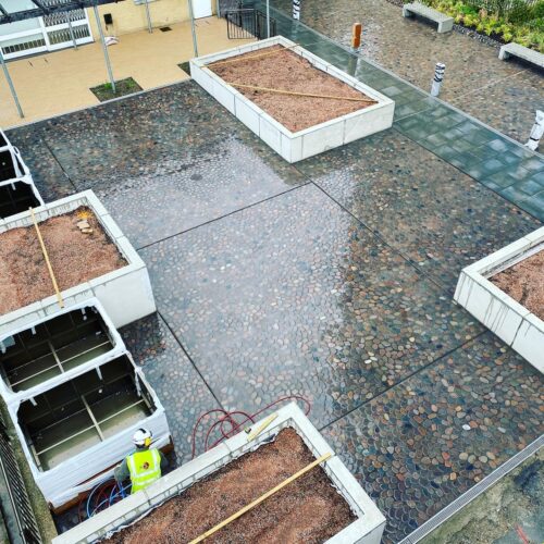 WhatsApp Image 2026-01-21 at 16.07.33 (1)