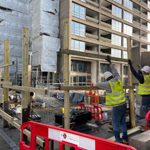 WhatsApp Image 2026-01-21 at 16.07.33